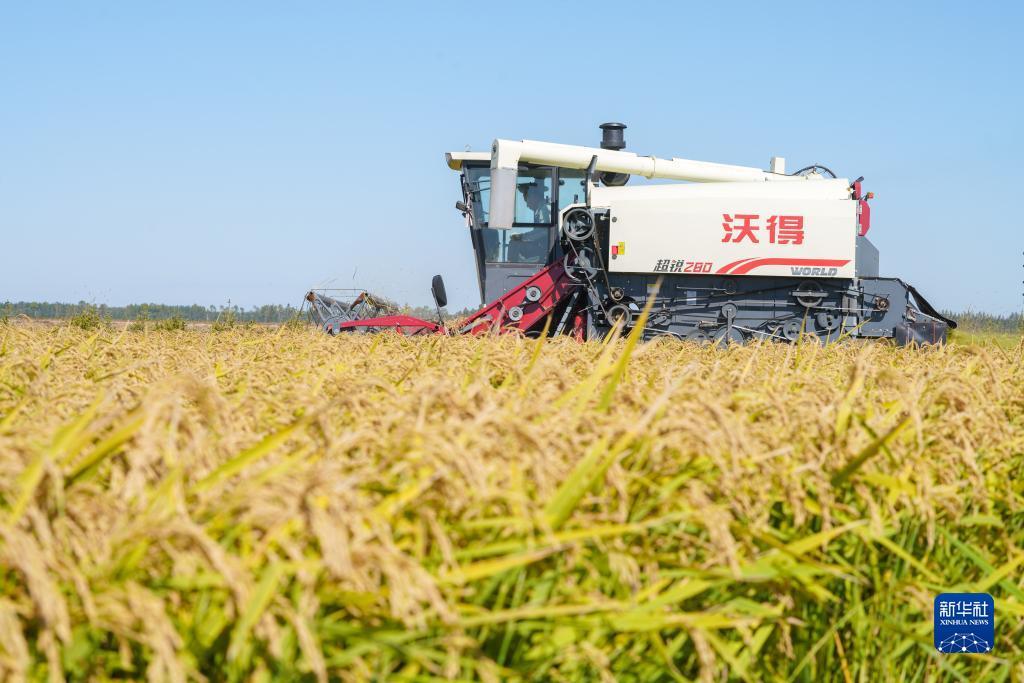 姚记捕鱼游戏技巧心得